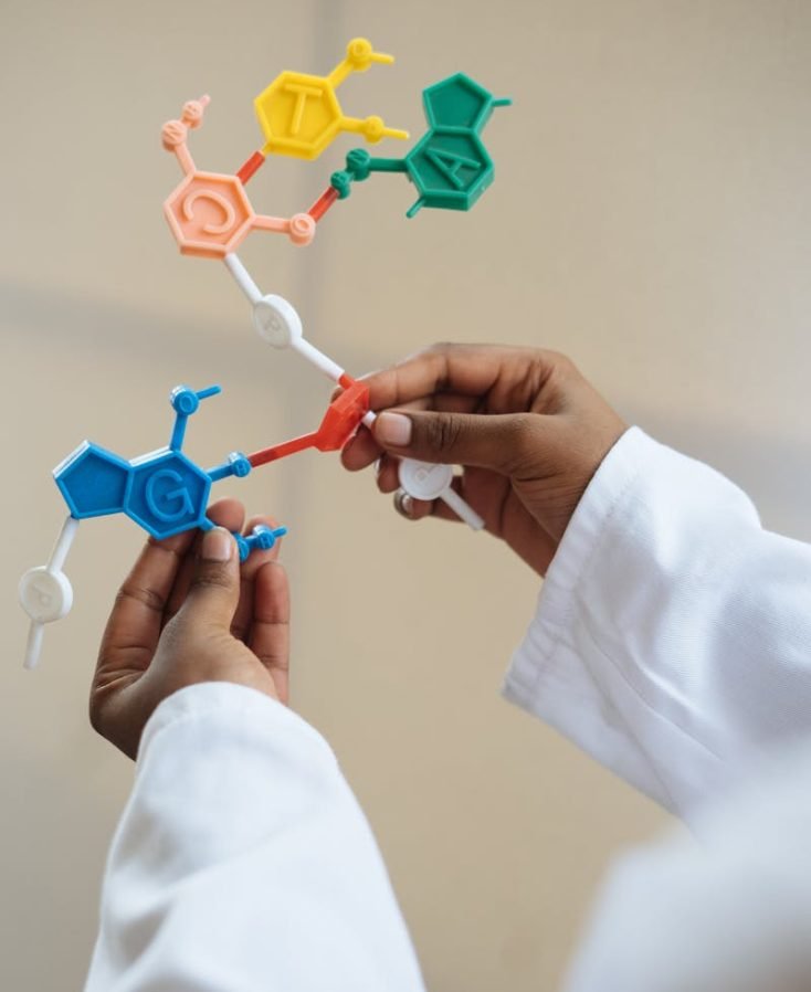 Close-up of a scientist's hands holding a colorful molecular model in a lab setting.